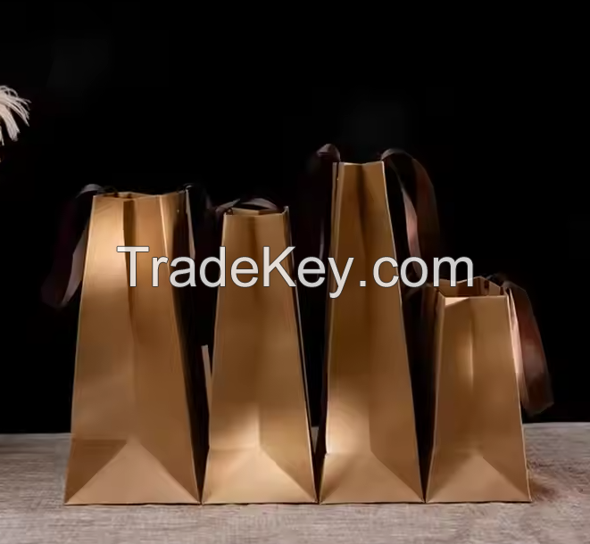 Wholesale Custom Printed Paper Gift Bags with Handles for Retail Packaging