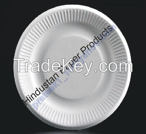 Export Quality Paper Plates