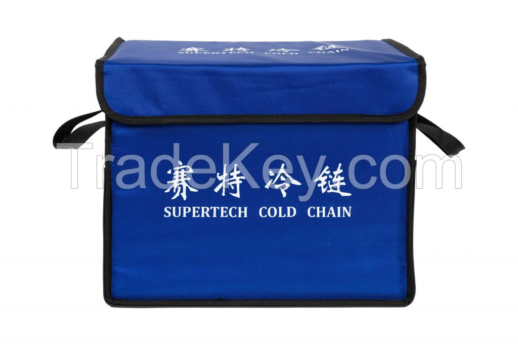 Fashion Insulated Collapsible Cooler Bag for Picnic Travel