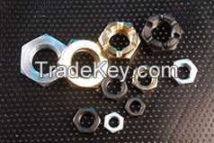 Hex Nuts