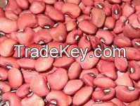 Cow peas Type 2