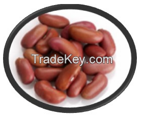 Light Red Kidney Beans