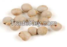 Pigeon Peas 