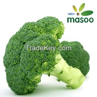 Cheap High Quality Broccoli from Hebei (China) (Wholesale)