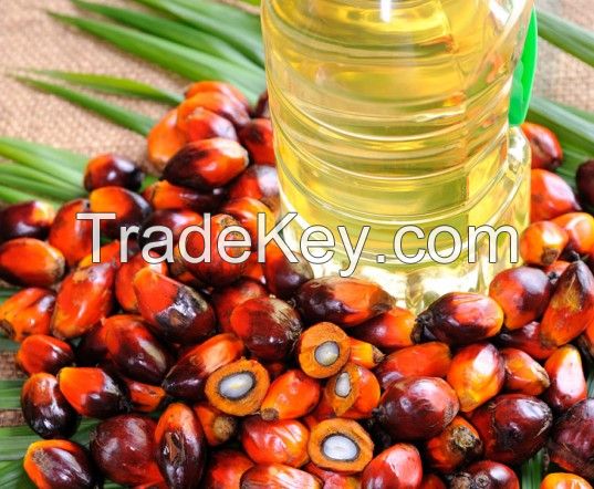 palm oil