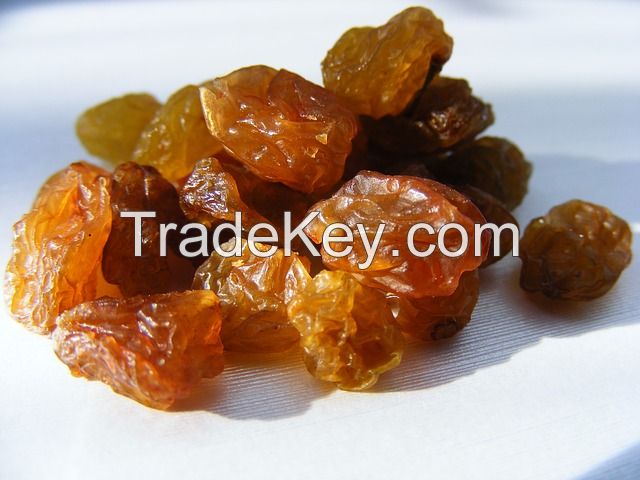 Dried Grapes / Raisins