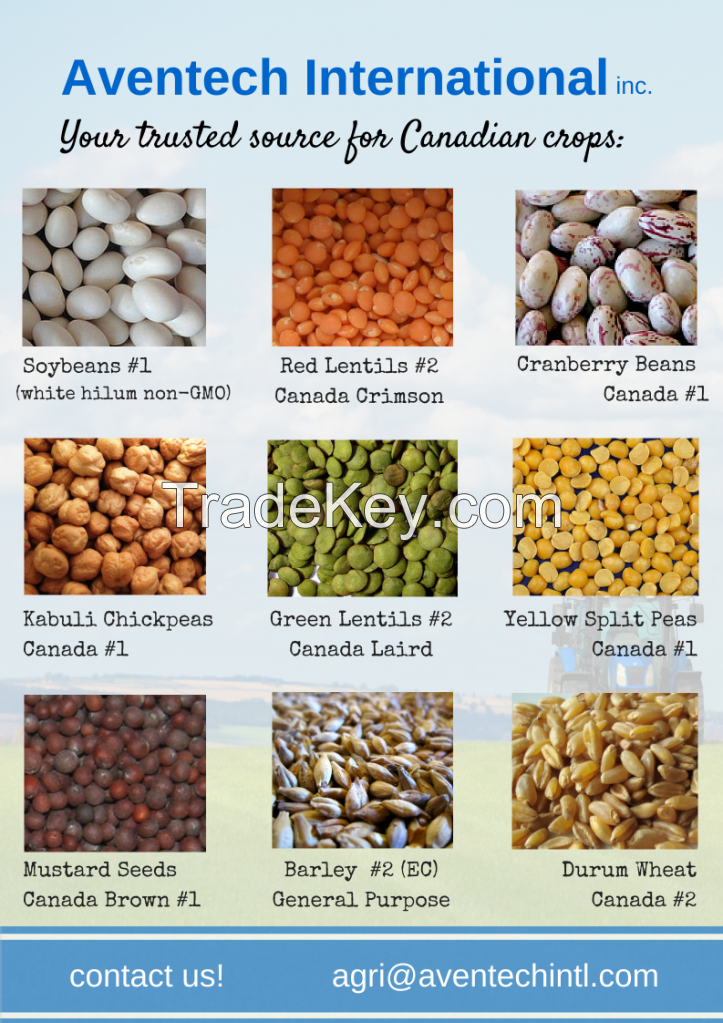 Canadian Grains and Pulses