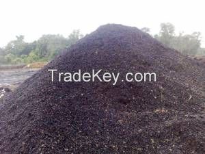 PALM KERNEL SHELL CHARCOAL