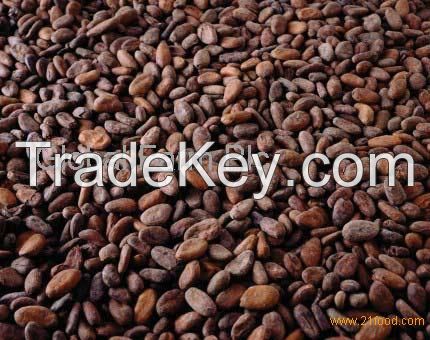 Kola Nuts, Cassue Nuts, Bitter Kolas, Cocoa Nuts,Palm Kanels