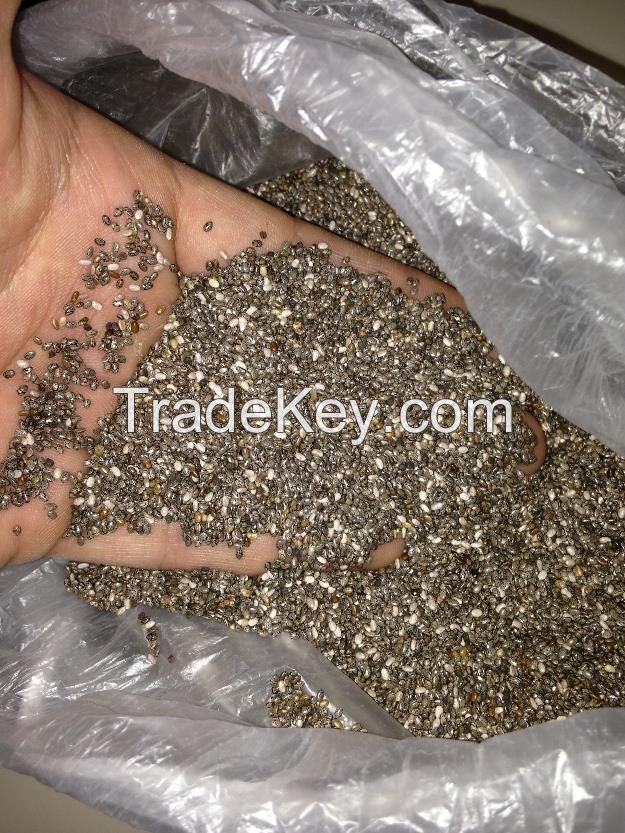 Chia Seeds Conventional and Organic