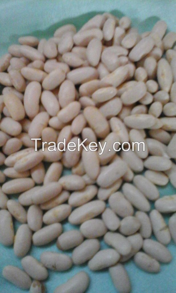 White kidney beans