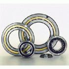 ucp bearing,tapper roller bearings