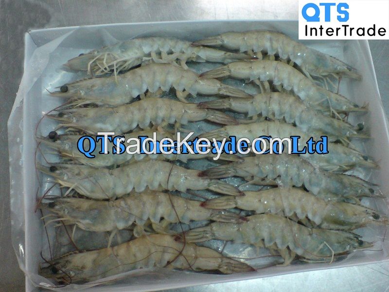 Frozen Vannamei Shrimp