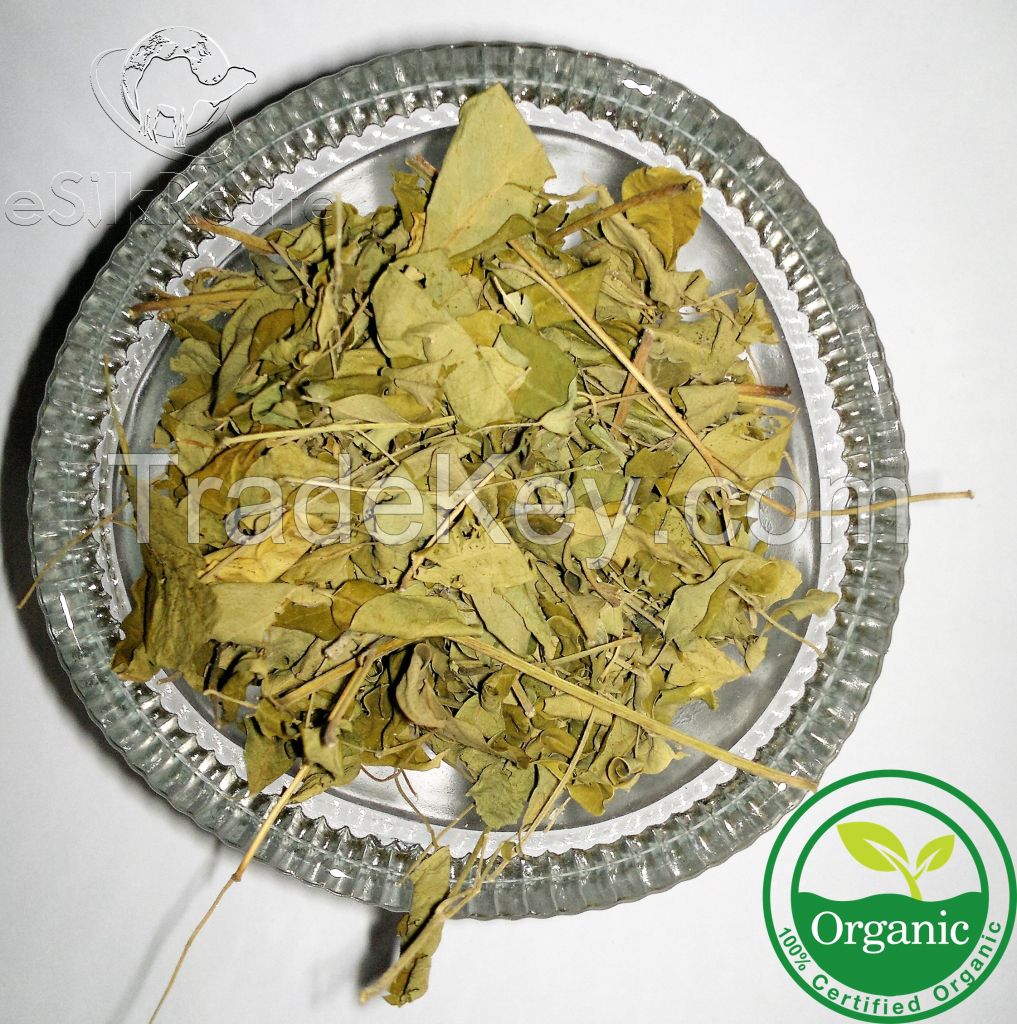 Organic Moringa oleifera