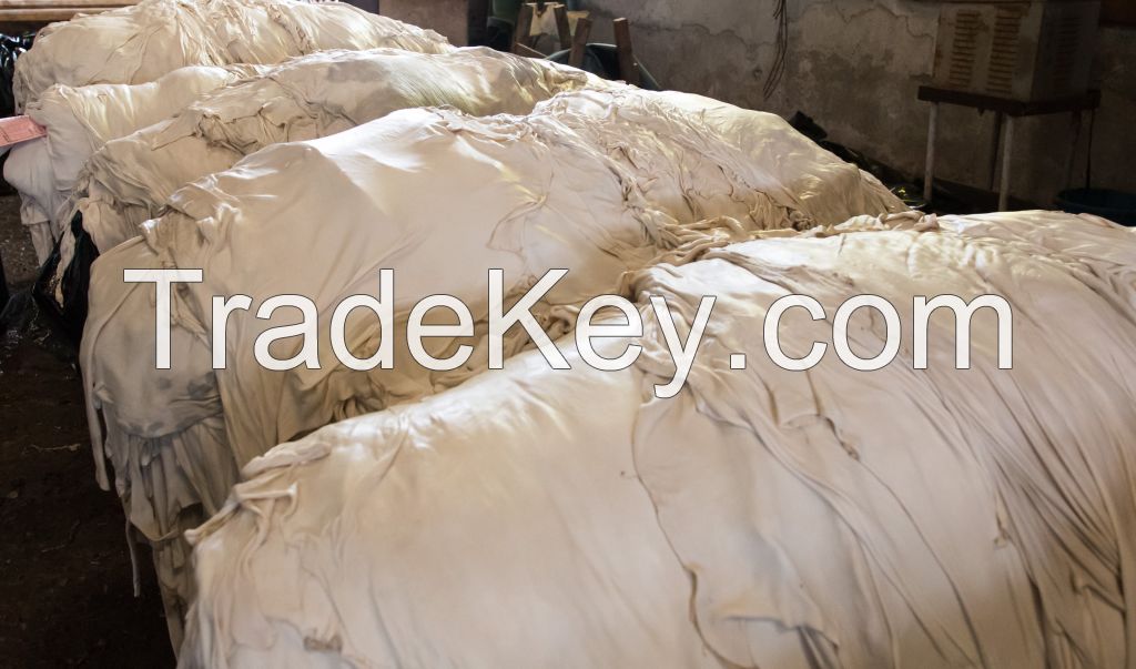 Pickled Yemeni white sheep skin leather