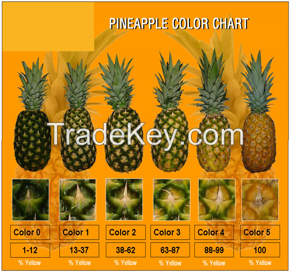 Pineapples