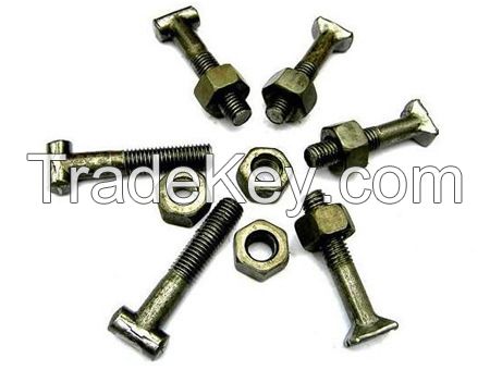 Construction fastener boltsT-SCREWS