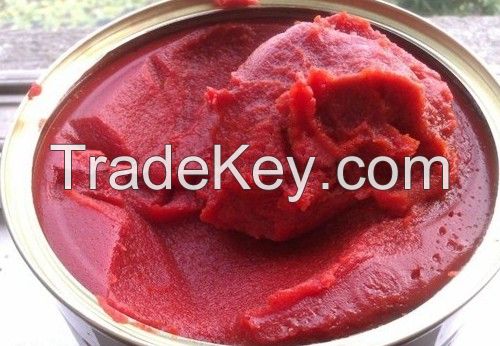 Bulk Tomato Paste in Drum 36%-38% Brix