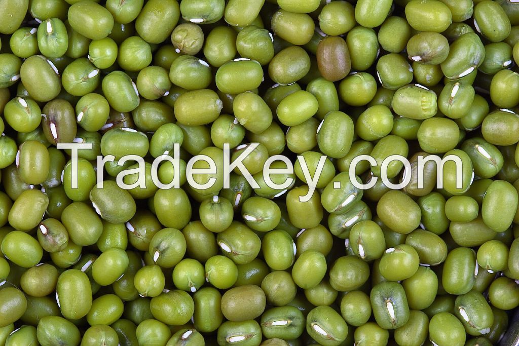 Green Raisins, Green lentilhas, Hebei dates, Low Pesticide (Goji berry), Mung Beans