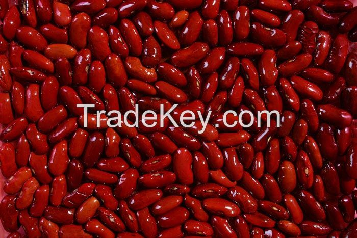 Red Kidney Beans