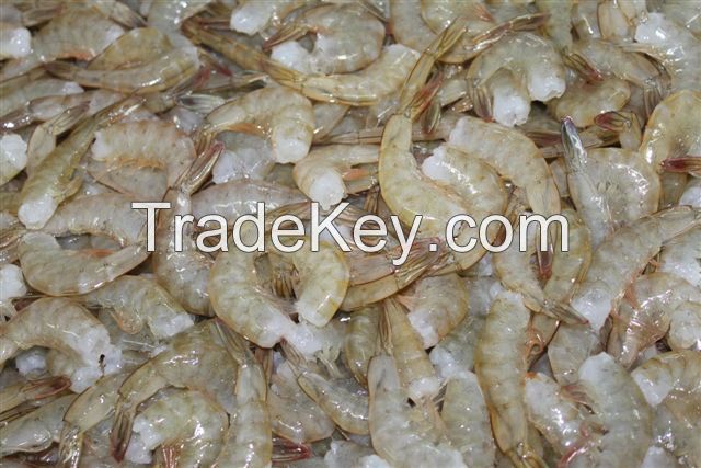 FRESH WATER KING PRAWN, frozen vannamei shrimp, shrimp solonocera melantho,Shrimps  Valencia