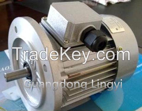 YS Asynchronous Electric Motor AC Motors