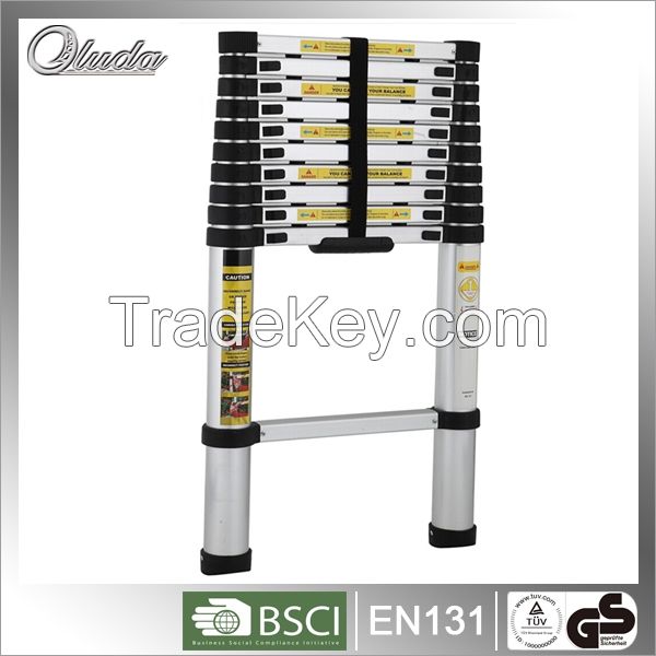 Telescopic Ladder with 10 steps