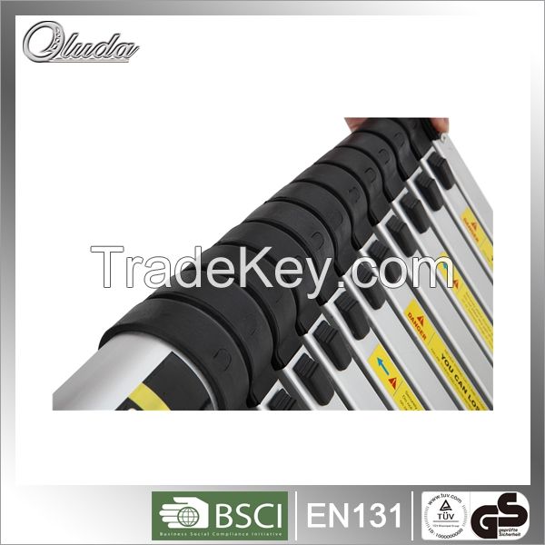 Telescopic Ladder with 10 steps