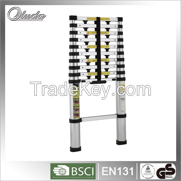 Telescopic Ladder with 3.2E