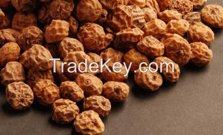 Tiger Nut