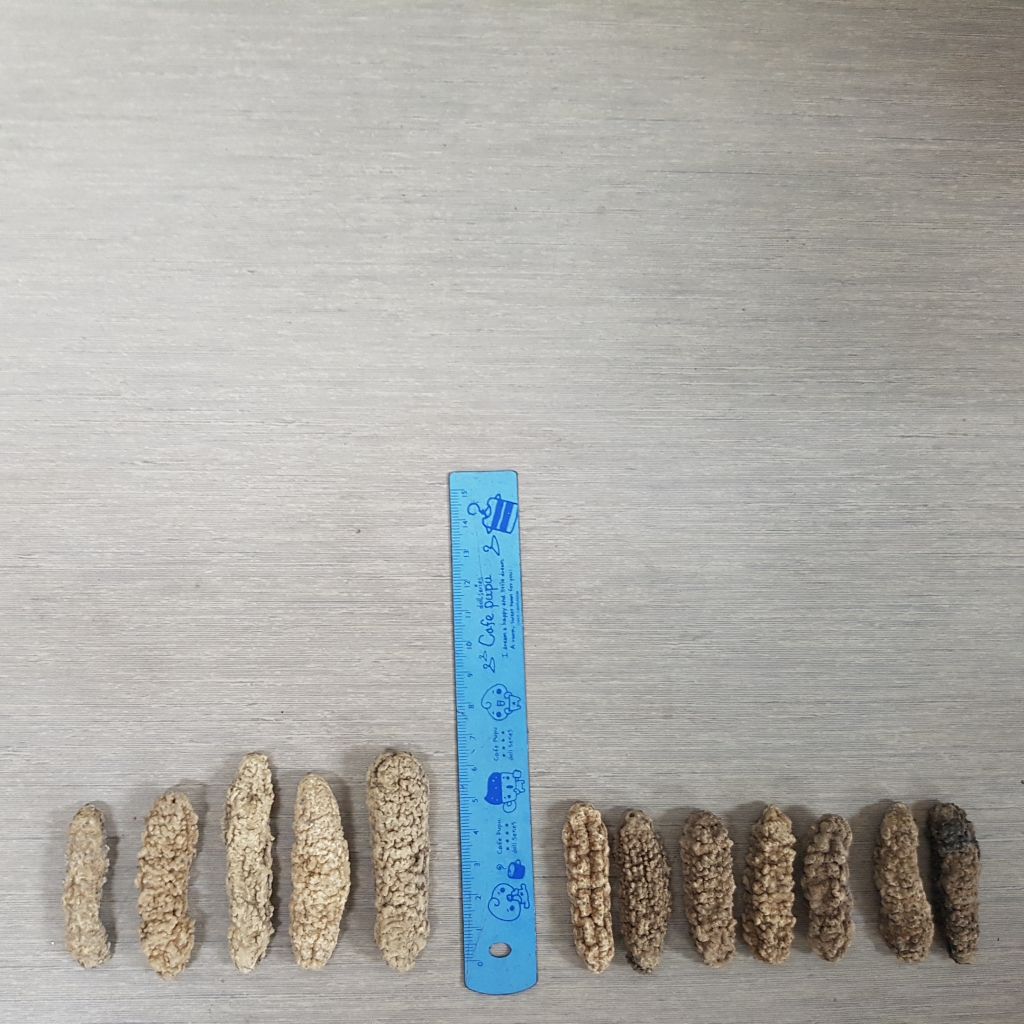Dried sea cucumber 