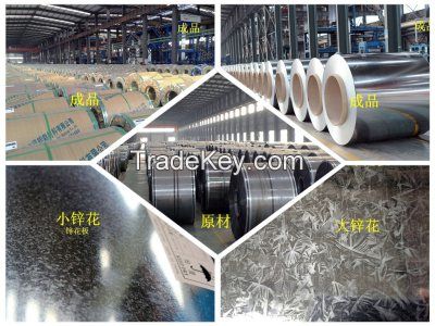 price hot dipped galvanized steel coil