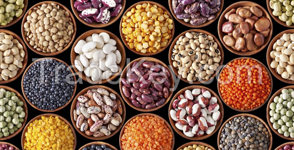 Quality Beans, Yellow Gram, Pigeon Peas, Mung Beans, Chick Peas, Lentils, Kidney Beans, Coffee Beans, Soya Beans