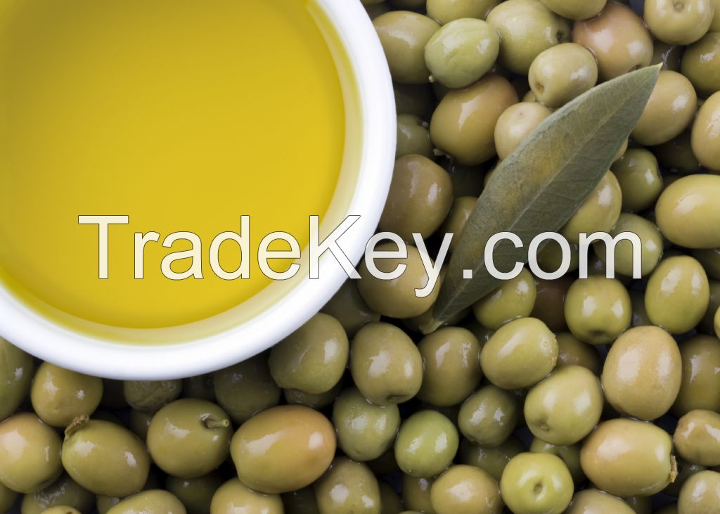 Best Olive Oil