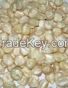 Sunflower Seeds, Soya, White Maize, Yellow Maize, Sugar Beans, Green Peas