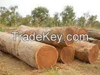 SAWN WOOD TIMBER