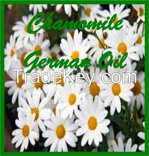 Chamomile German Oil