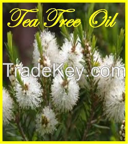 Tea Tree Oil