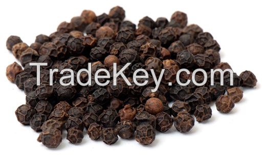 VIETNAM BLACK PEPPER FOR SPICES, 500GL/550GL/570GL