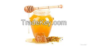 Best Raw Honey