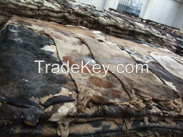 WET SALTED AND SUN DRY DONKEY HIDE