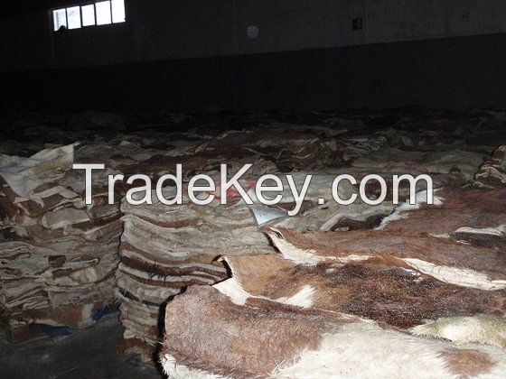 QUALITY SALTED DONKEY HIDE