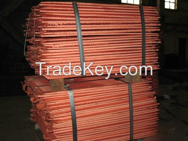 Superior Stainless Stell Copper Cathode