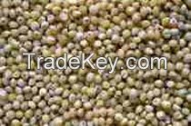 Millet Seeds