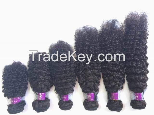 Brazilian  Kinky Curly Virgin Hair