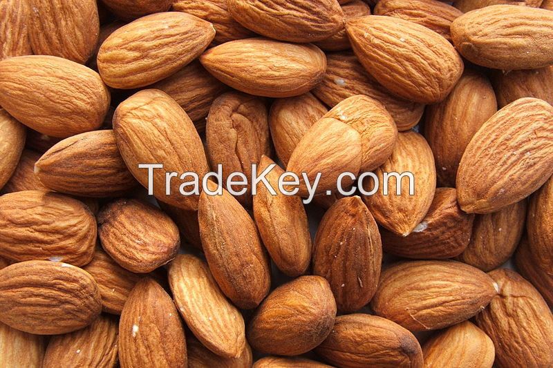 Raw Almond Nuts &amp; Kernels, Hazelnuts