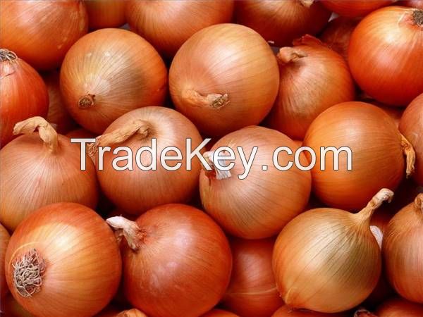 fresh onions