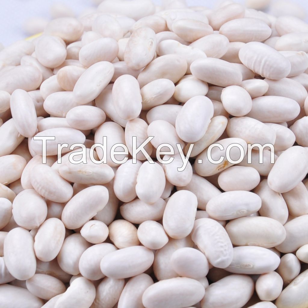 Red kidney bean