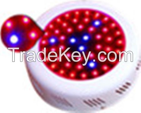 Top quality strawberry seedlings SMD led grow light alibaba ru grow lights