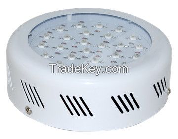 Top quality strawberry seedlings SMD led grow light alibaba ru grow lights